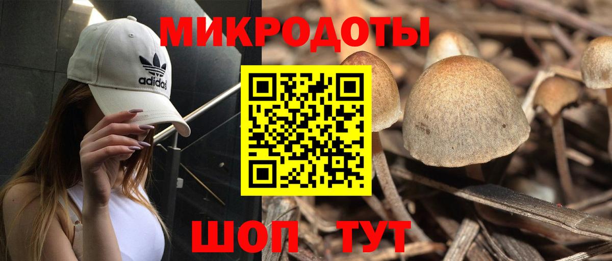 Рославль  Псилоцибиновые грибы прущие грибы  Вход с VPN  Псилоцибиновые грибы MAGIC MUSHROOMS 