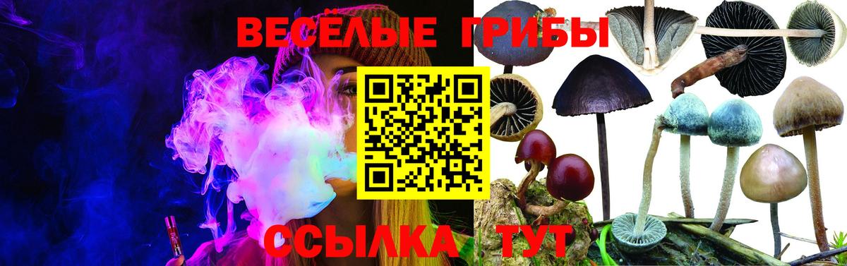 Галлюциногенные грибы мицелий Рославль
